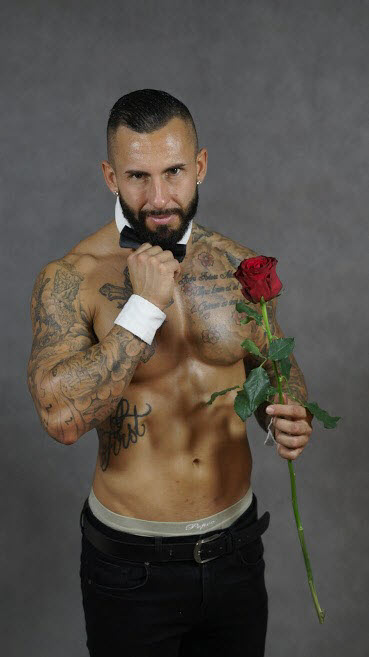 Chippendale fiú
